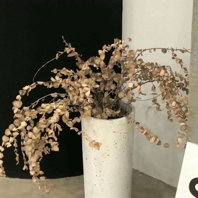 Furry兽设设计灵感合集福瑞交流群